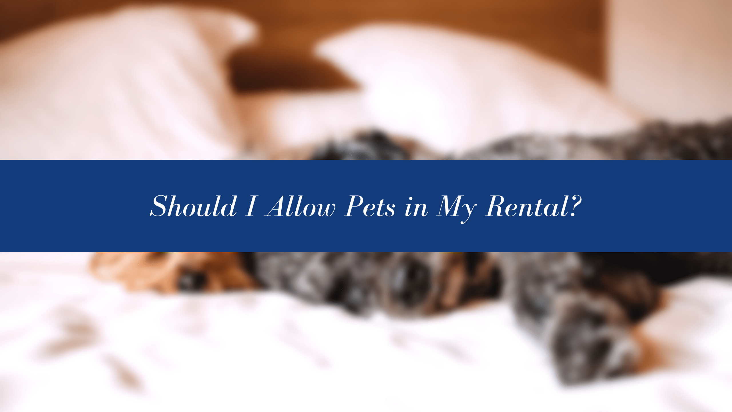 Should I Allow Pets in My Rental Property? | Cleveland Property Management Advice